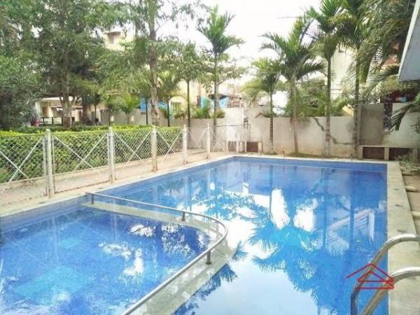 Swimming Pool humming-bees Swimming Pool