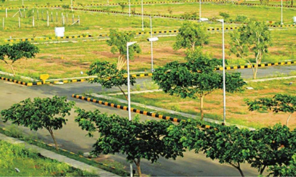  my city Images for Main Other of USM My City