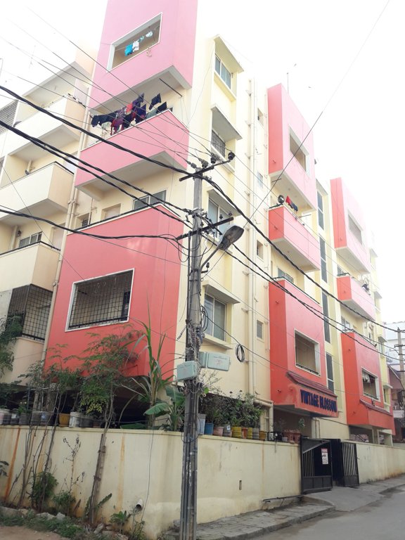  vintage blosoom Elevation