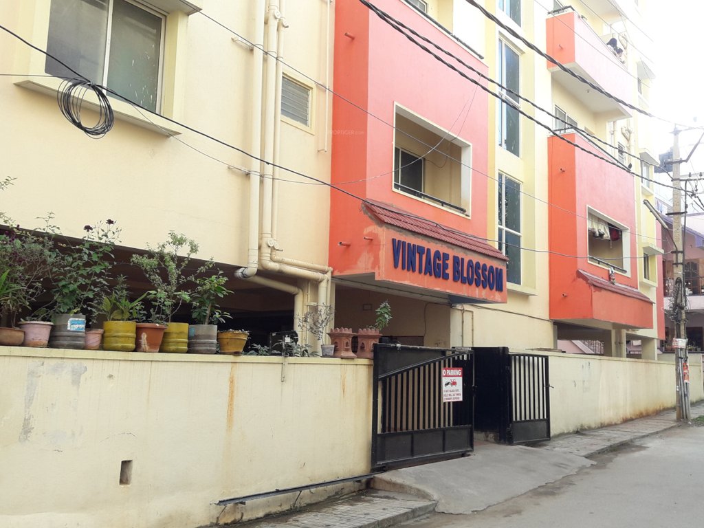  vintage blosoom Others