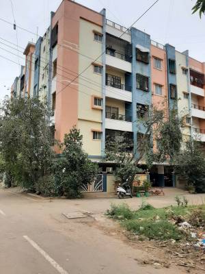 enclave Elevation Elevation