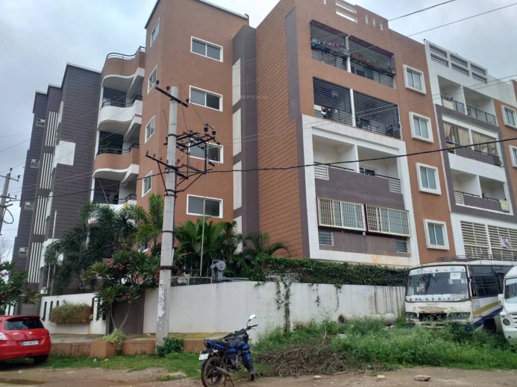 dsmax seldons Elevation