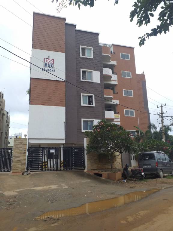 dsmax seldons Elevation