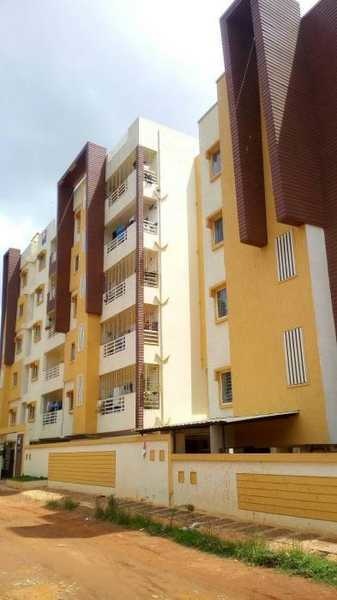  streaknest Elevation