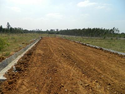  happy-valley Images for Main Other of Green Happy Valley