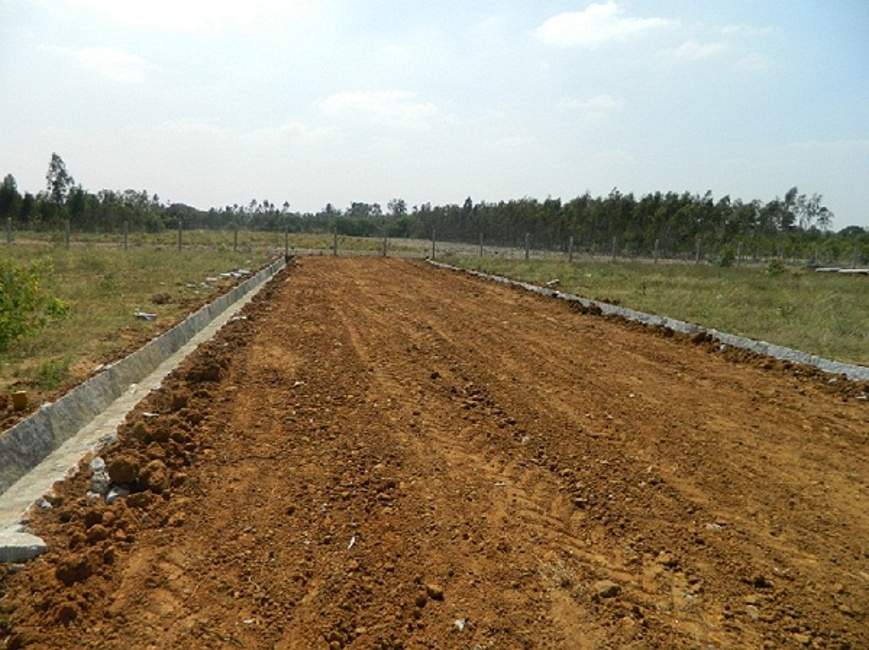 happy valley Images for Main Other of Green Happy Valley