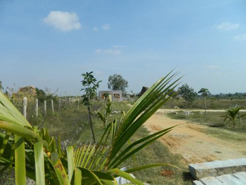  happy-valley Images for Main Other of Green Happy Valley