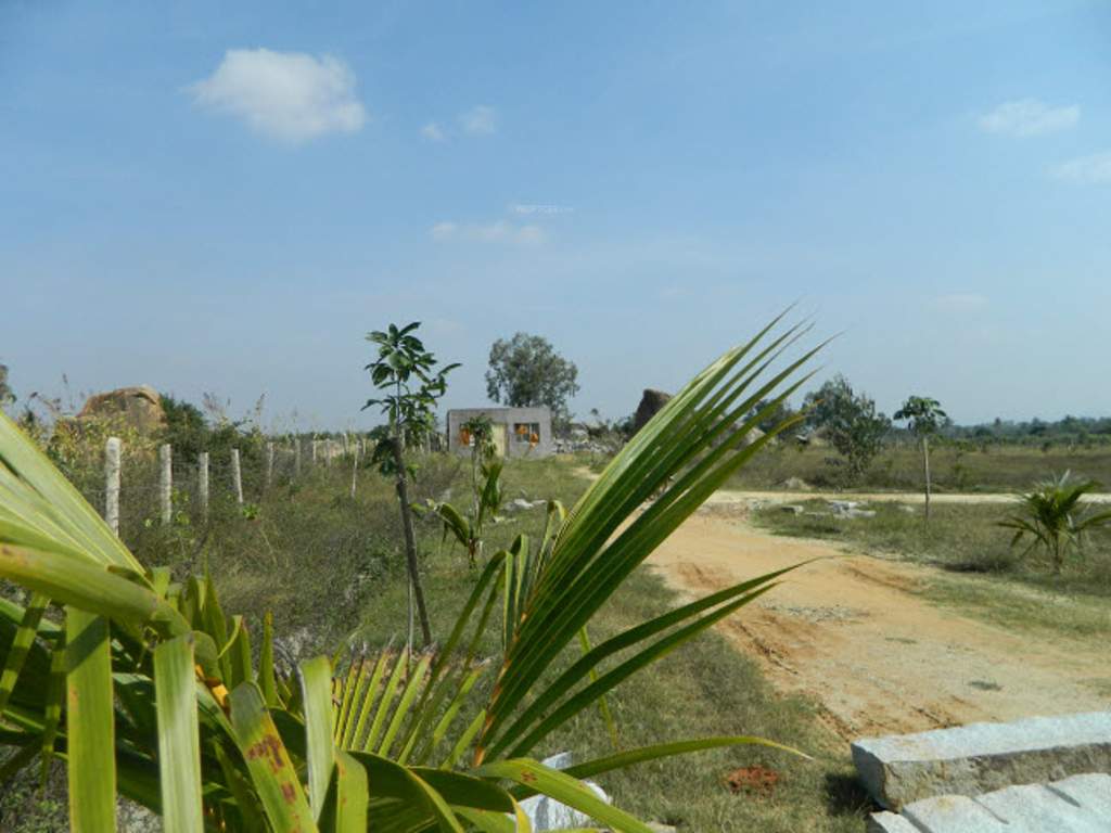 happy valley Images for Main Other of Green Happy Valley