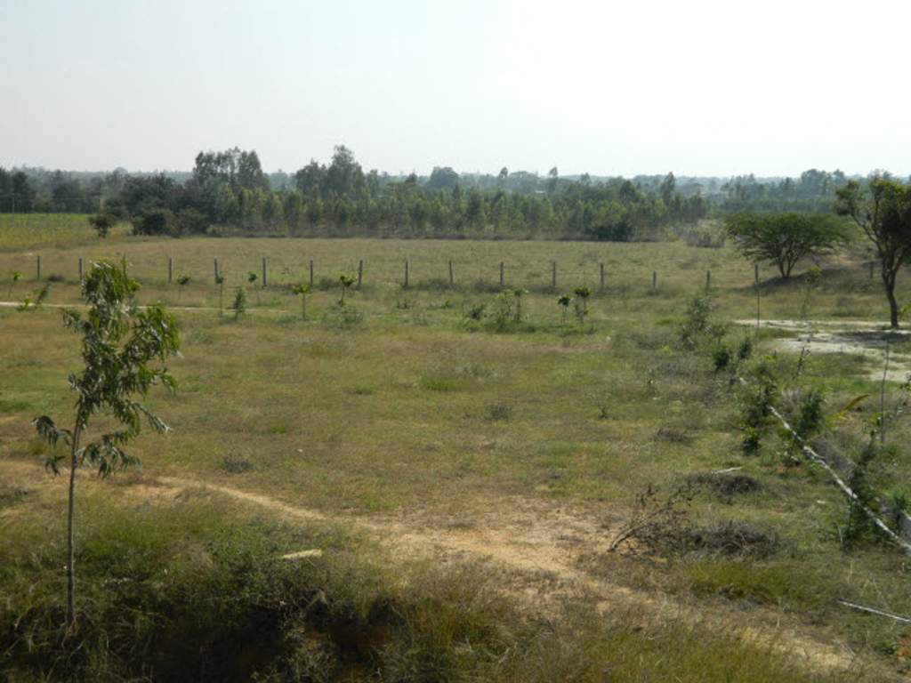 happy valley Images for Main Other of Green Happy Valley