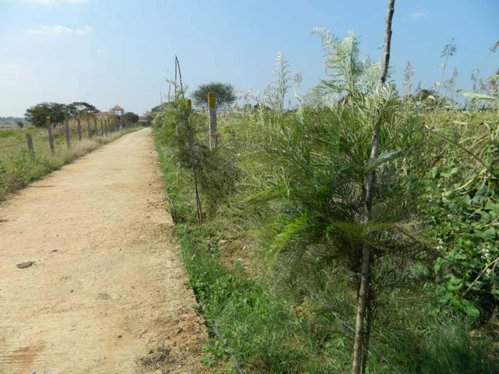 happy valley Images for Main Other of Green Happy Valley