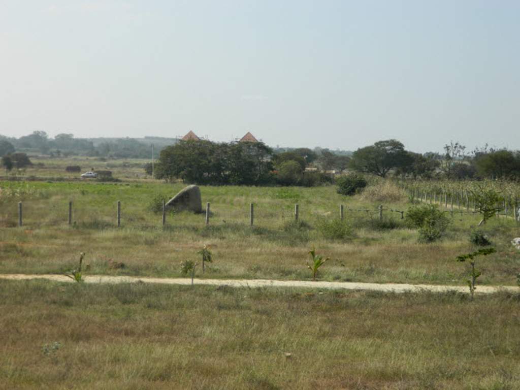 happy valley Images for Main Other of Green Happy Valley