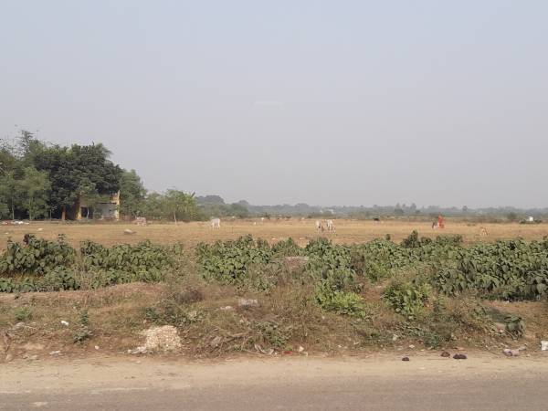 Images for mainOther