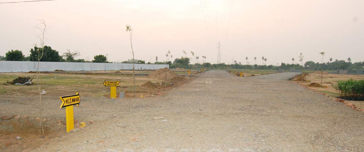 Images for Main Other of MS MS Garden