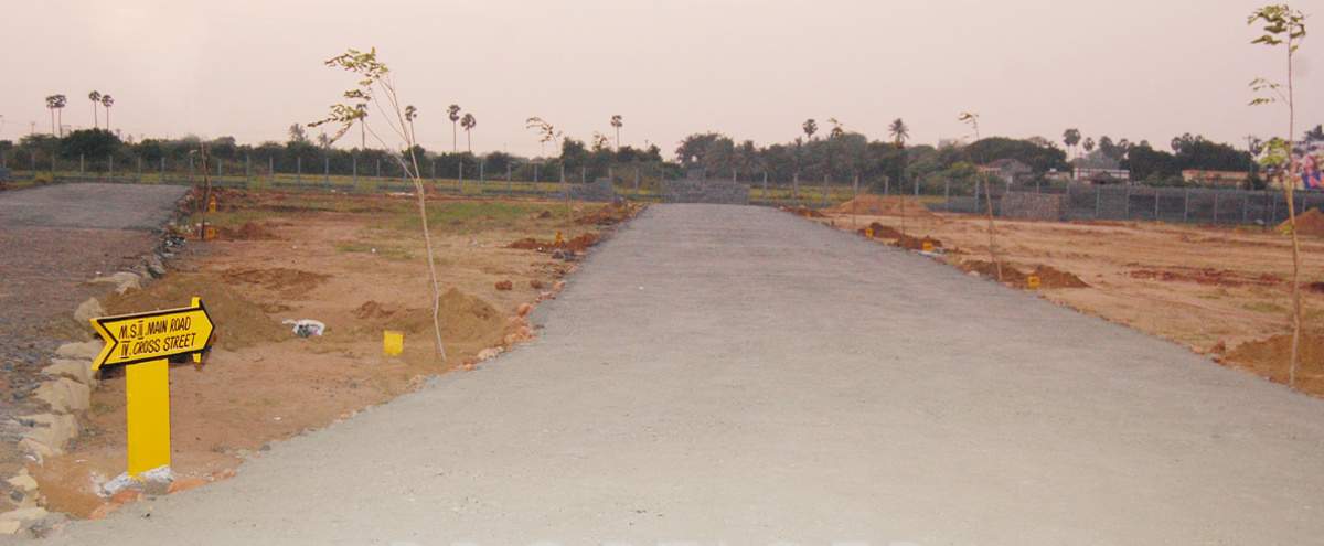 Images for Main Other of MS MS Garden