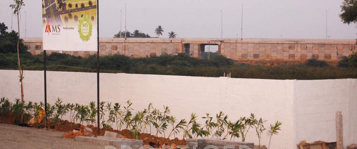 Images for Main Other of MS MS Garden