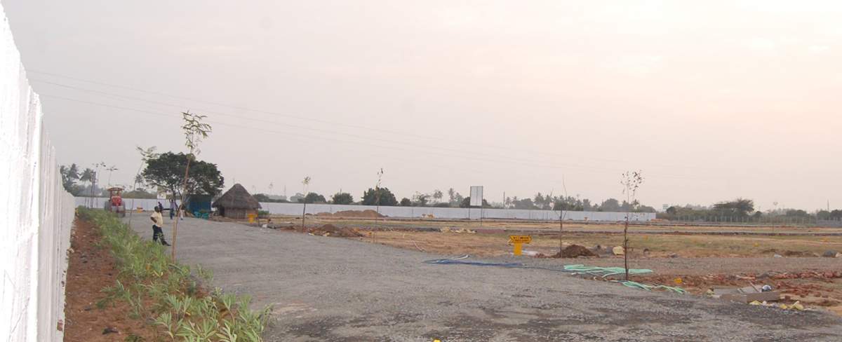 Images for Main Other of MS MS Garden