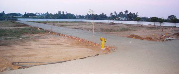 Images for Main Other of MS MS Garden