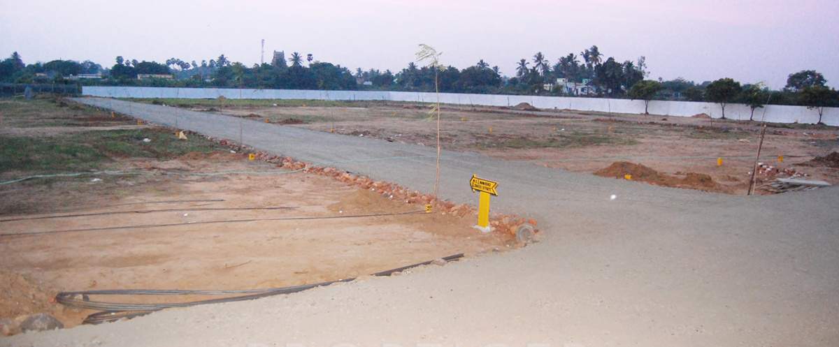 Images for Main Other of MS MS Garden