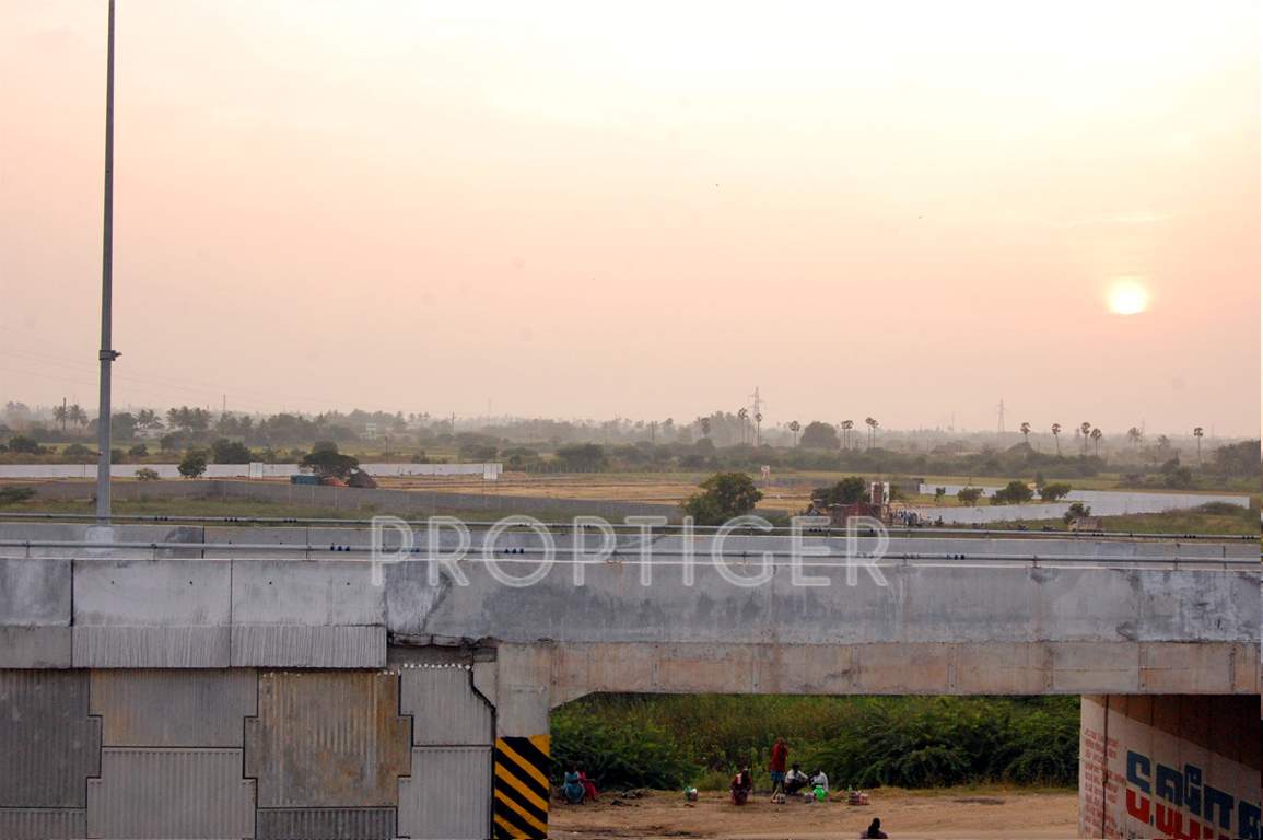 Images for Main Other of MS MS Garden