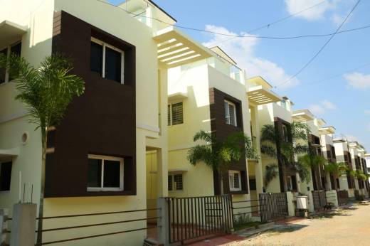 flower-garden Images for Project Images for Project