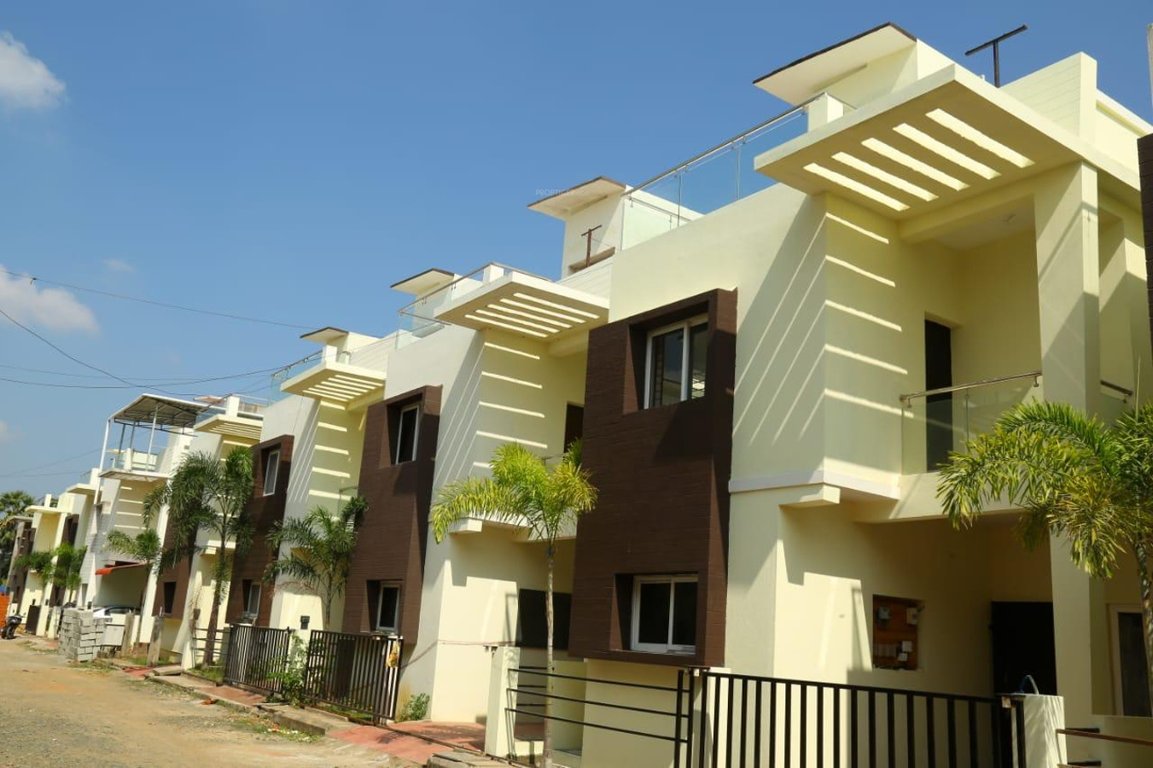 flower garden Images for Project