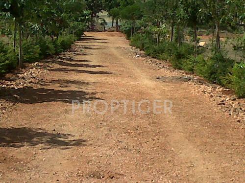 Images for Main Other of Greater Lake Dew