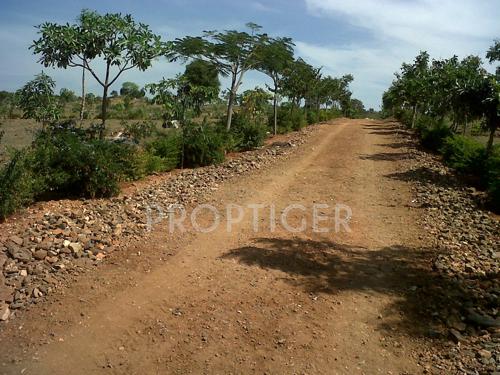 Images for Main Other of Greater Lake Dew