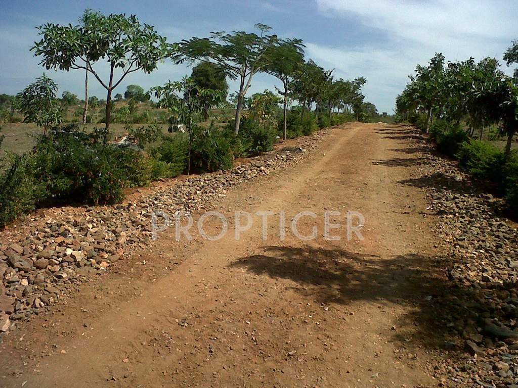 Images for Main Other of Greater Lake Dew