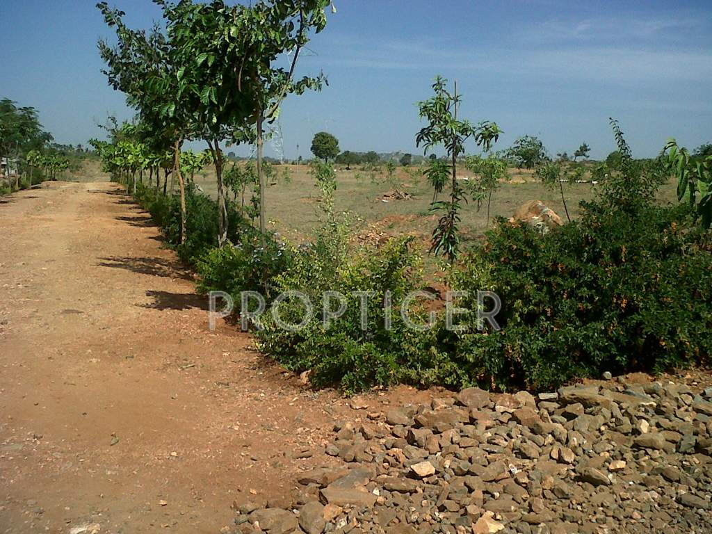 Images for Main Other of Greater Lake Dew