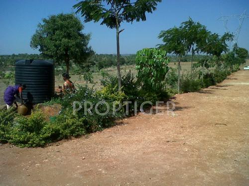 Images for Main Other of Greater Lake Dew