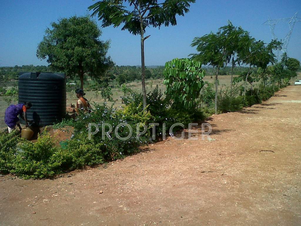 Images for Main Other of Greater Lake Dew