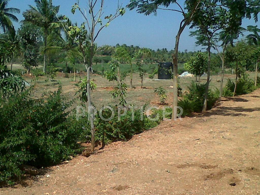 Images for Main Other of Greater Lake Dew