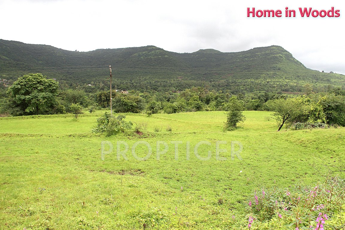 Images for Main Other of Sairung Home In Woods