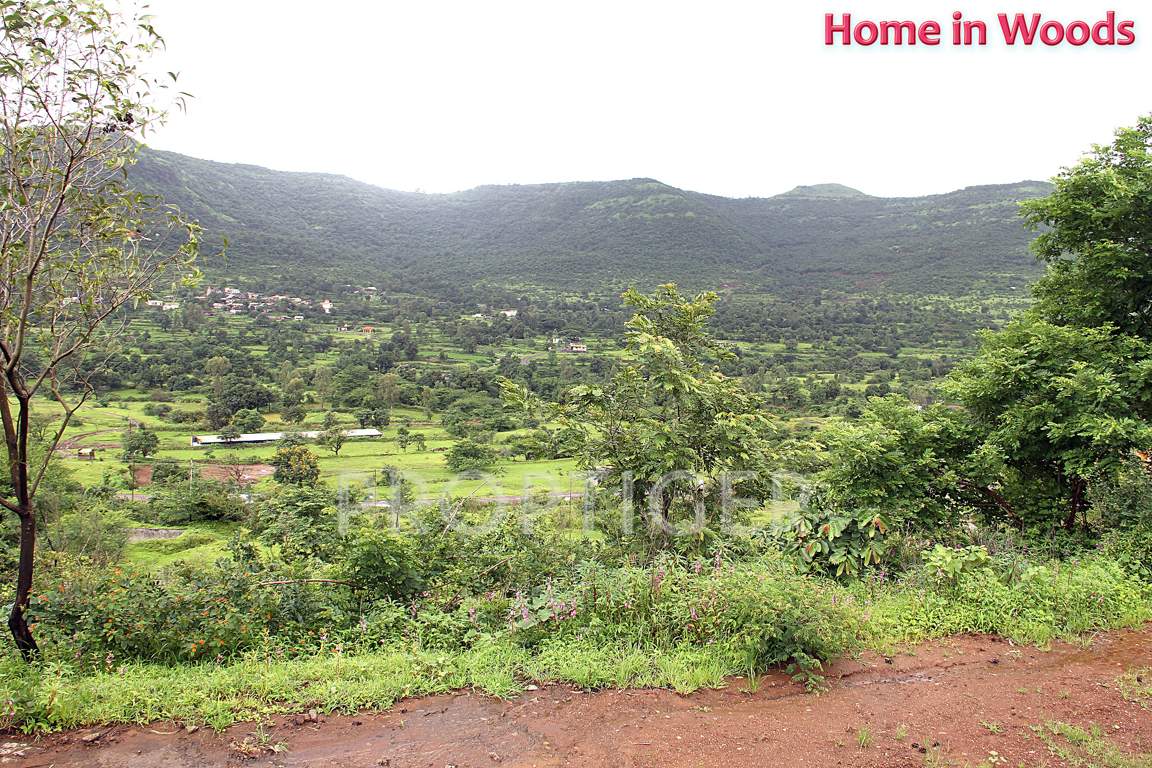 Images for Main Other of Sairung Home In Woods