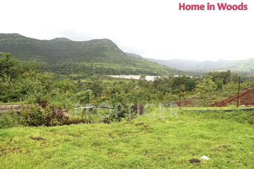 Images for Main Other of Sairung Home In Woods Images for Main Other of Sairung Home In Woods