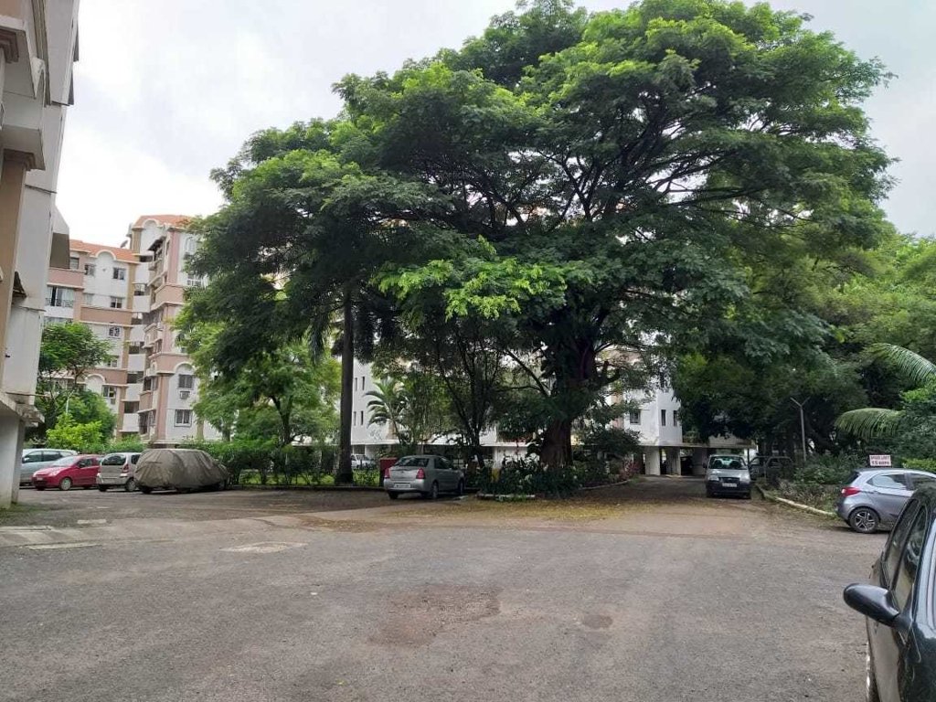  sacred heart town Internal Roads