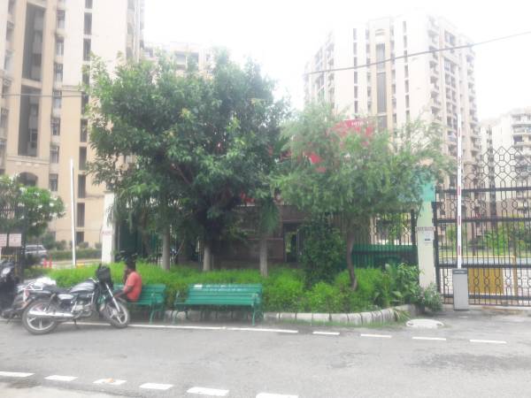  palm-court Elevation