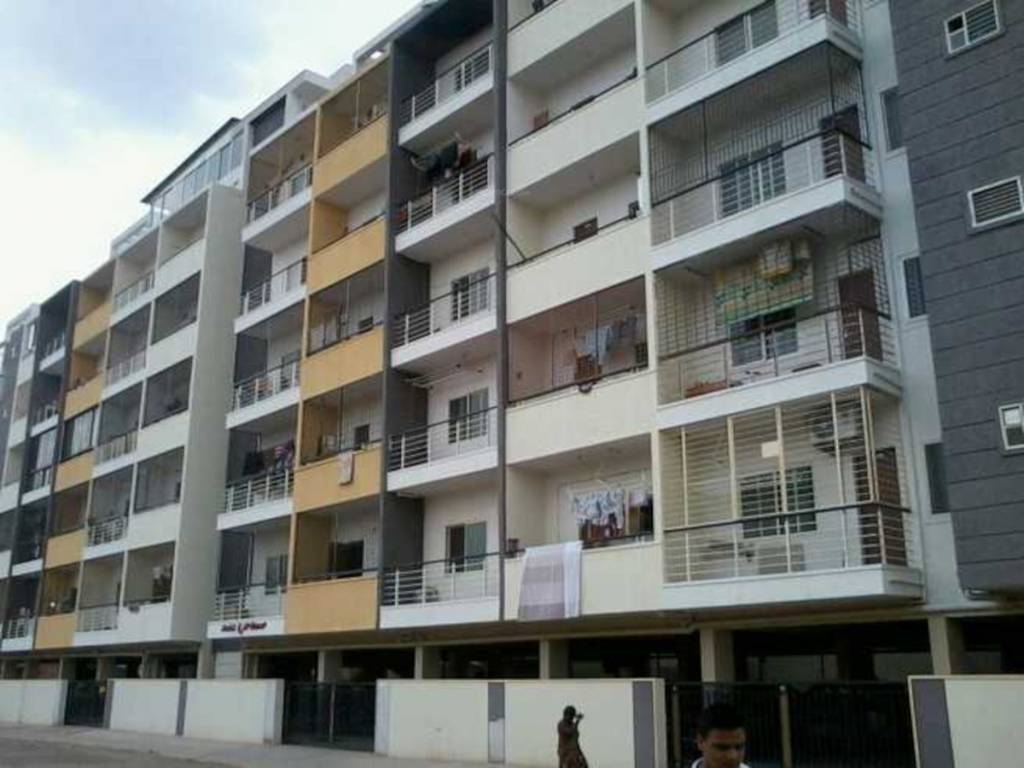  prime rose Elevation