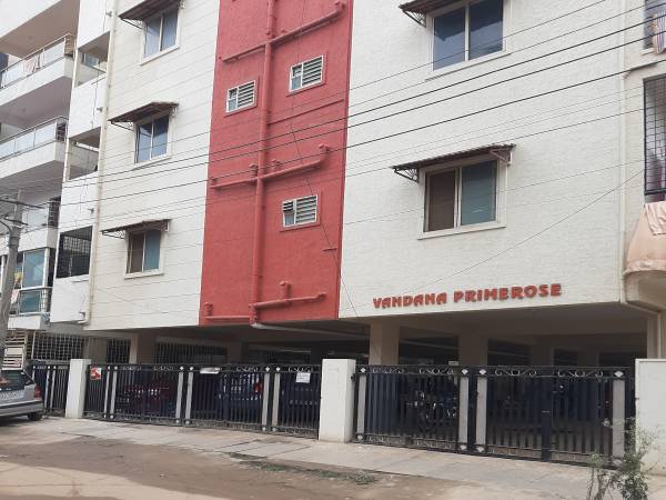  prime-rose Elevation