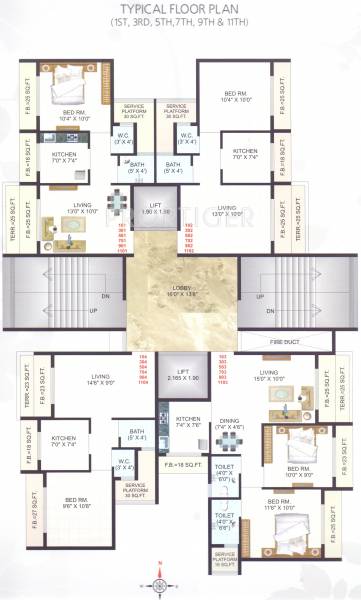  heights Heights Odd Floor Cluster Plan