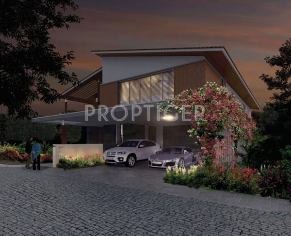  maitri Images for Elevation of Sycon Maitri