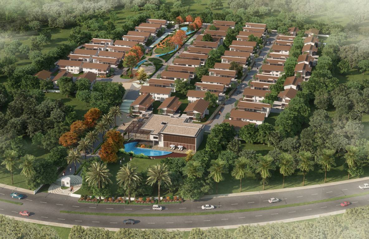  maitri Images for Elevation of Sycon Maitri