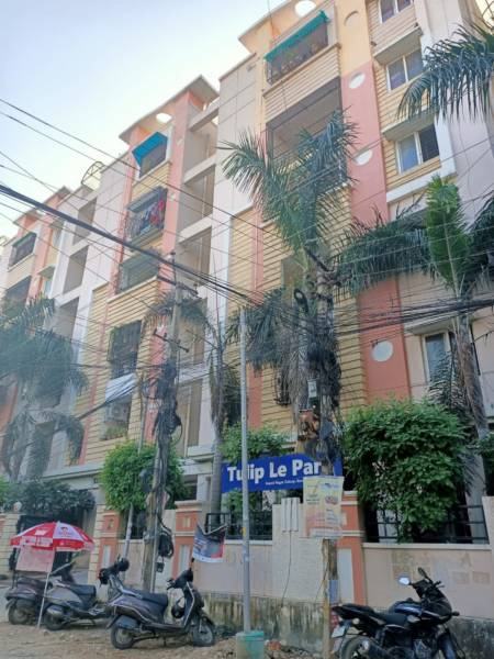  tulip-le-park Images for Project