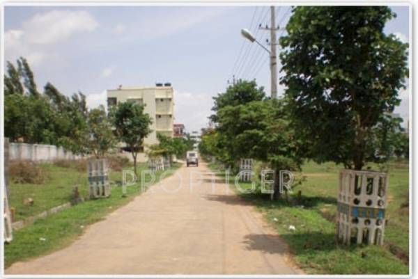 terracon-projects doctors-enclave Main Other