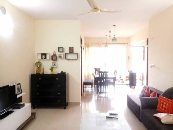 Living Area tejyesh Living Area