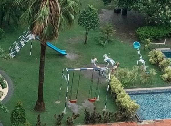  sunrise-point Landscape Garden and Tree Planting