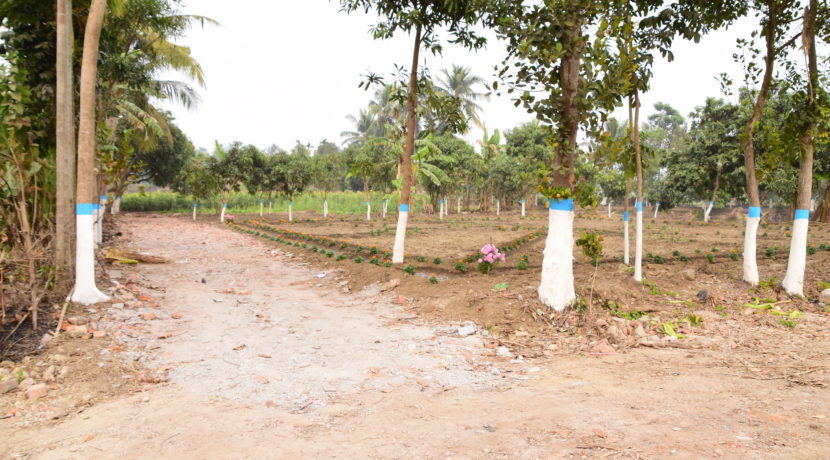 Images for constructionStatus