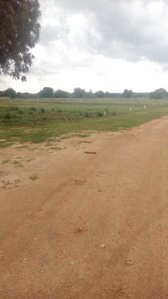  bello county Elevation