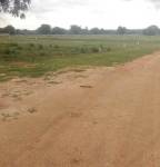  bello-county Elevation