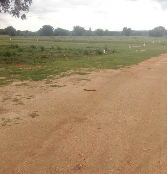  bello county Elevation